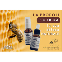 Propoli con alcohol 20ml