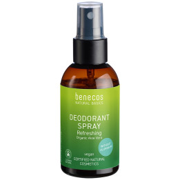 Pietra deodorante allume di potassio 100g