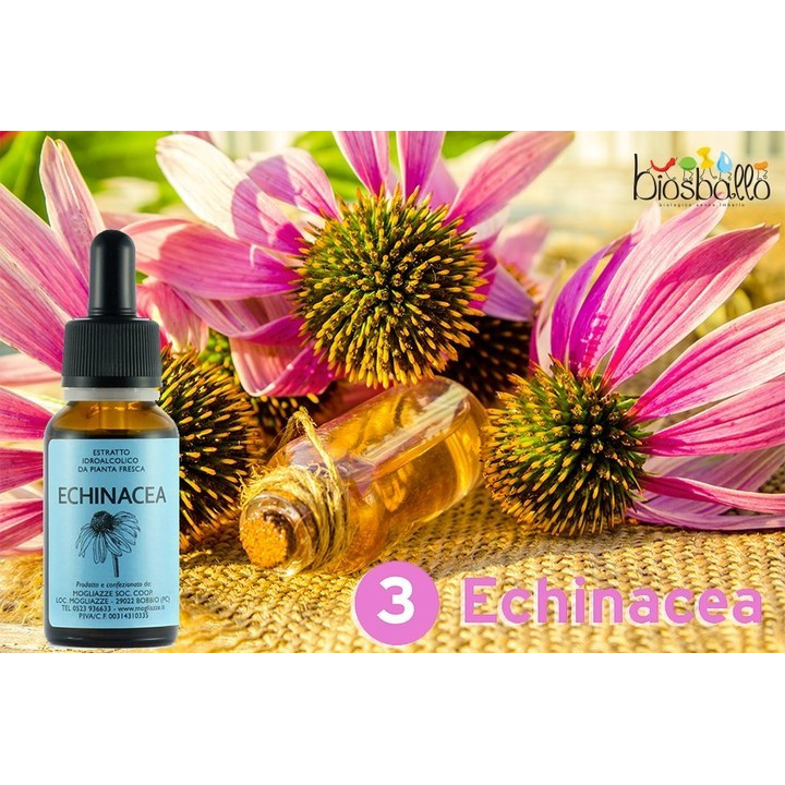 Echinacea Tintura Madre 20ml