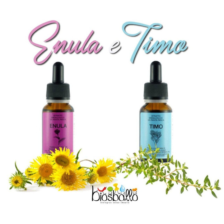 Timo Tintura Madre 20ml