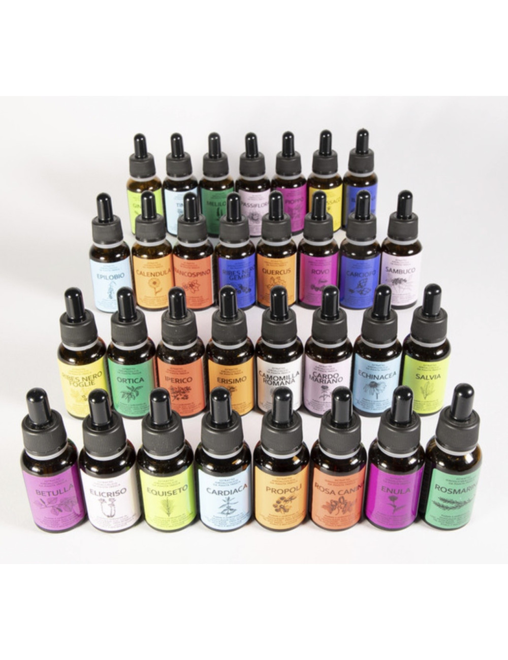 Betulla Tintura Madre 20ml