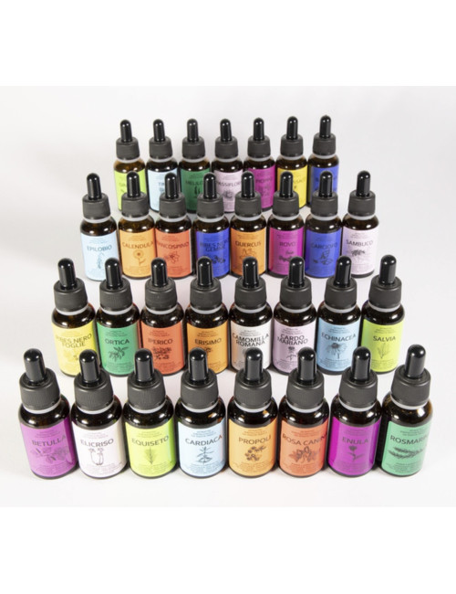 Betulla Tintura Madre 20ml