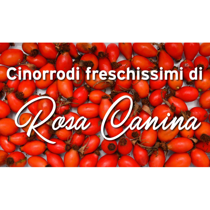 Infuso Rosa Canina 40g