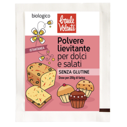 Polvere lievitante bioreal 9g