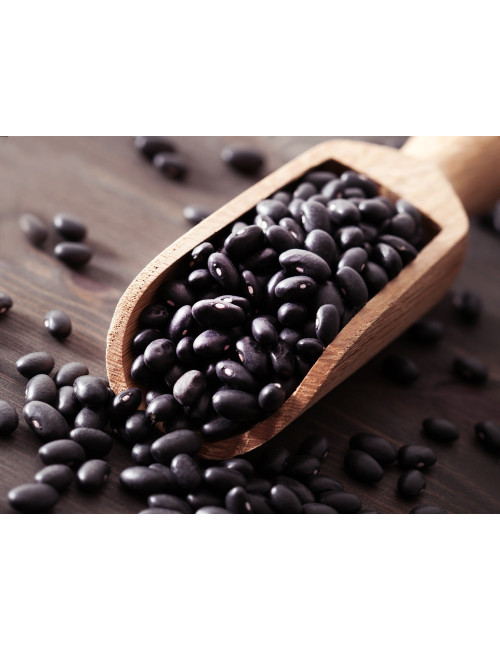 copy of Sedani 100% piselli bio 250g